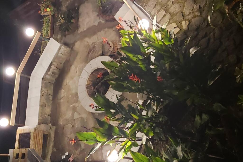 Kasauli Cascade A Cheerfull 4 Bedroom Challet Ngoại thất bức ảnh