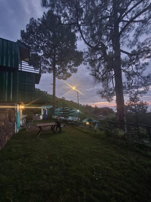 Kasauli Cascade A Cheerfull 4 Bedroom Challet Ngoại thất bức ảnh