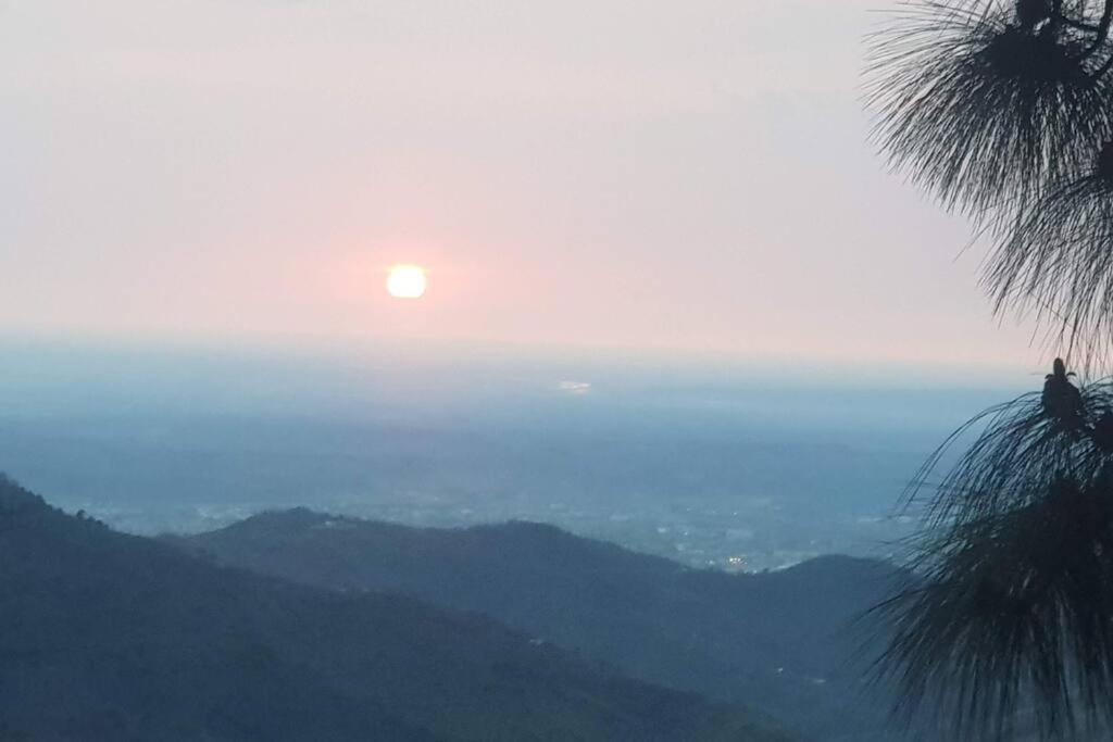 Kasauli Cascade A Cheerfull 4 Bedroom Challet Ngoại thất bức ảnh