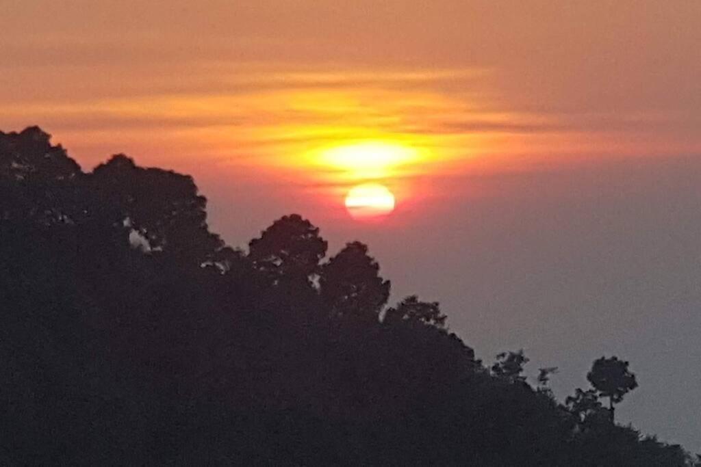 Kasauli Cascade A Cheerfull 4 Bedroom Challet Ngoại thất bức ảnh