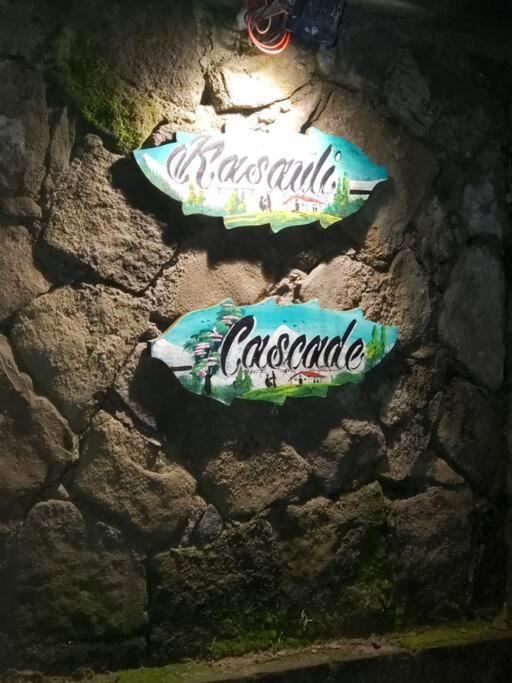 Kasauli Cascade A Cheerfull 4 Bedroom Challet Ngoại thất bức ảnh