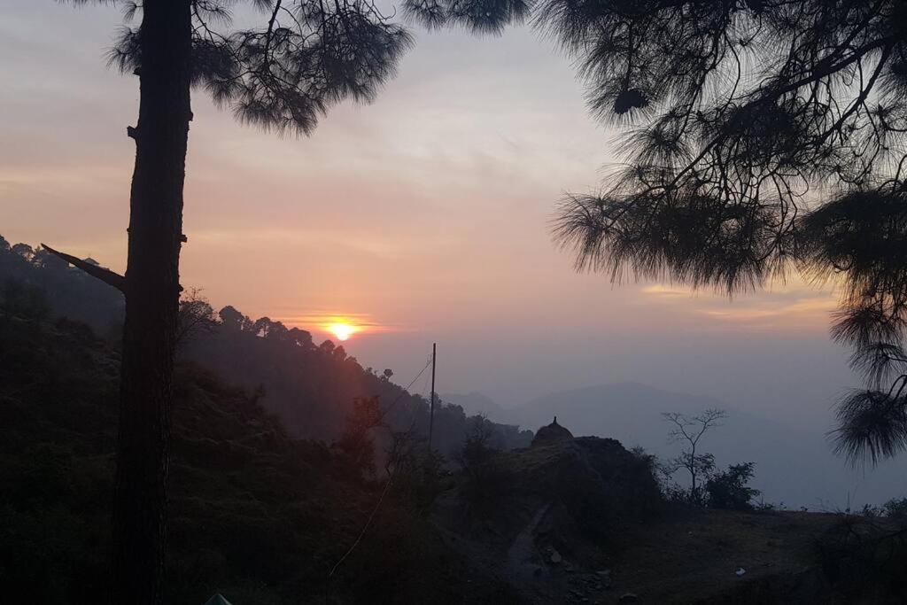 Kasauli Cascade A Cheerfull 4 Bedroom Challet Ngoại thất bức ảnh