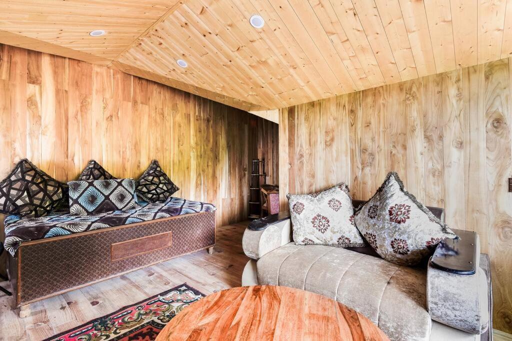 Kasauli Cascade A Cheerfull 4 Bedroom Challet Ngoại thất bức ảnh