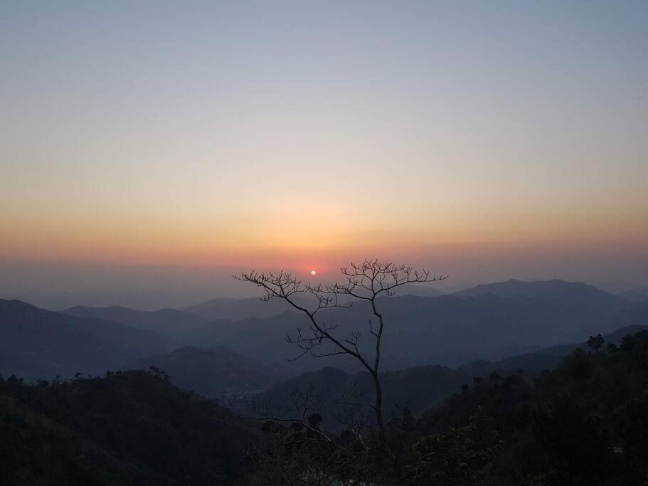 Kasauli Cascade A Cheerfull 4 Bedroom Challet Ngoại thất bức ảnh
